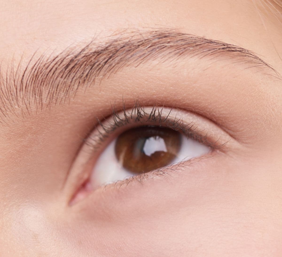 How Do Brow Lift Procedures Differ?